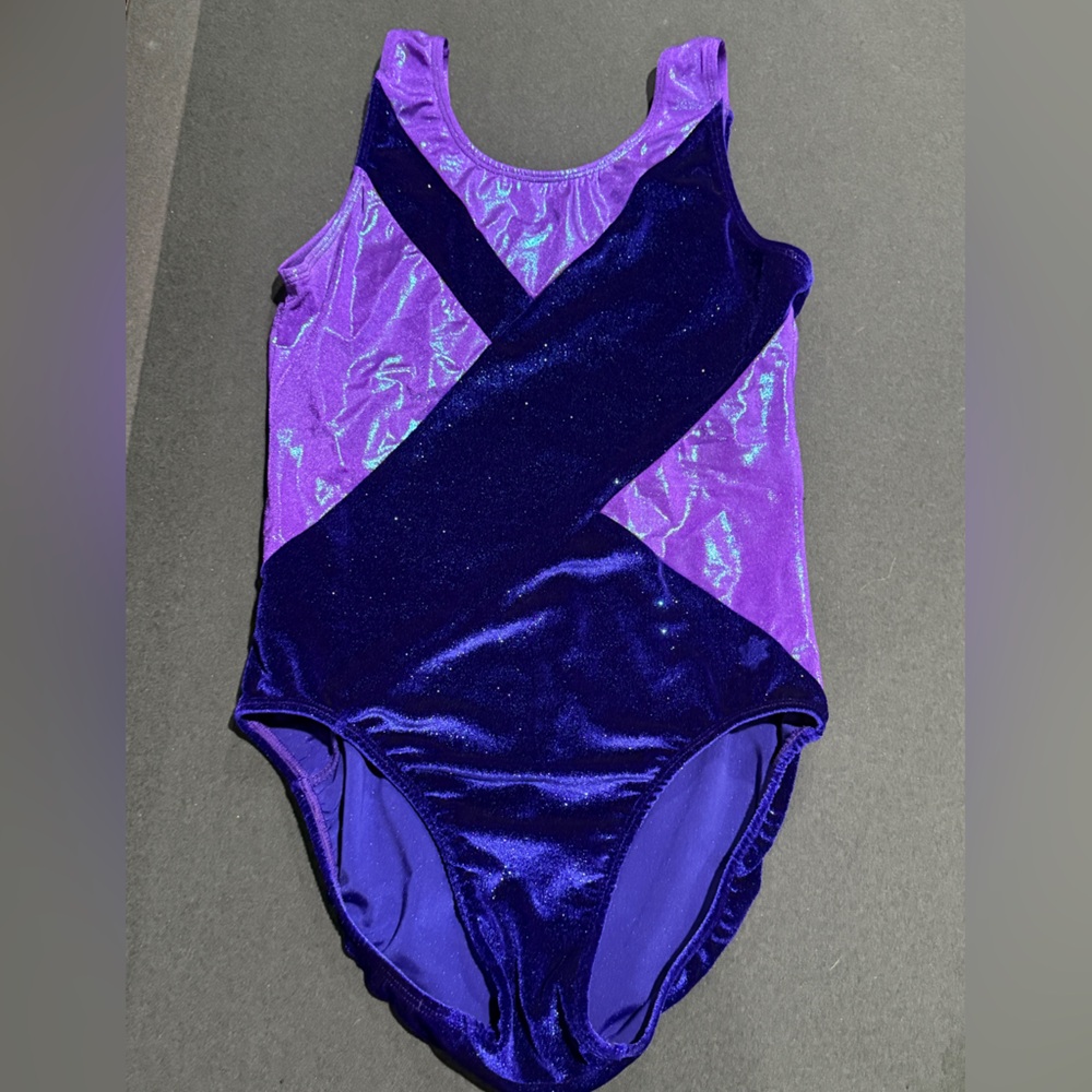 Purple and Blue Leotard